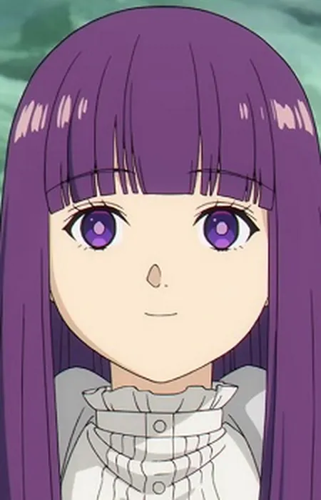 Fern from Frieren: Beyond Journey's End